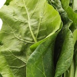 Acelgas: formas de prepararlas y qué aportan