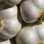Beneficios del Ajo Para la Salud