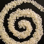 Uso del Arroz Para la Belleza
