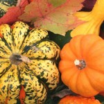 Usos de la Calabaza Para la Belleza