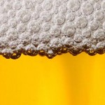 Usos de la cerveza en el hogar: mitos y alternativas