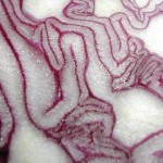 Col lombarda y piel: límites de los remedios caseros