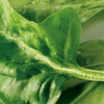 Espinacas y belleza: límites de las promesas sobre pelo y piel