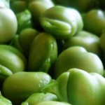Uso de las Habas en la Belleza