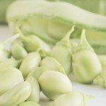 Beneficios de las Habas Para la Salud