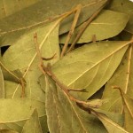 Laurel: cómo usarlo y retirarlo de los guisos