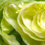 Uso de la Lechuga en la Belleza