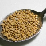Uso de la Mostaza en la Belleza