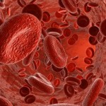Potenciar la Circulación de la Sangre