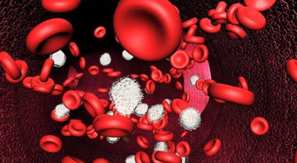 Potenciar el Hierro en la Sangre