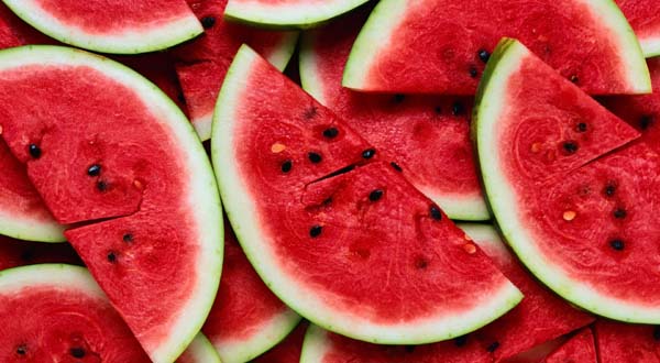 Sandia