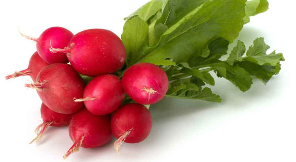 rabanitos